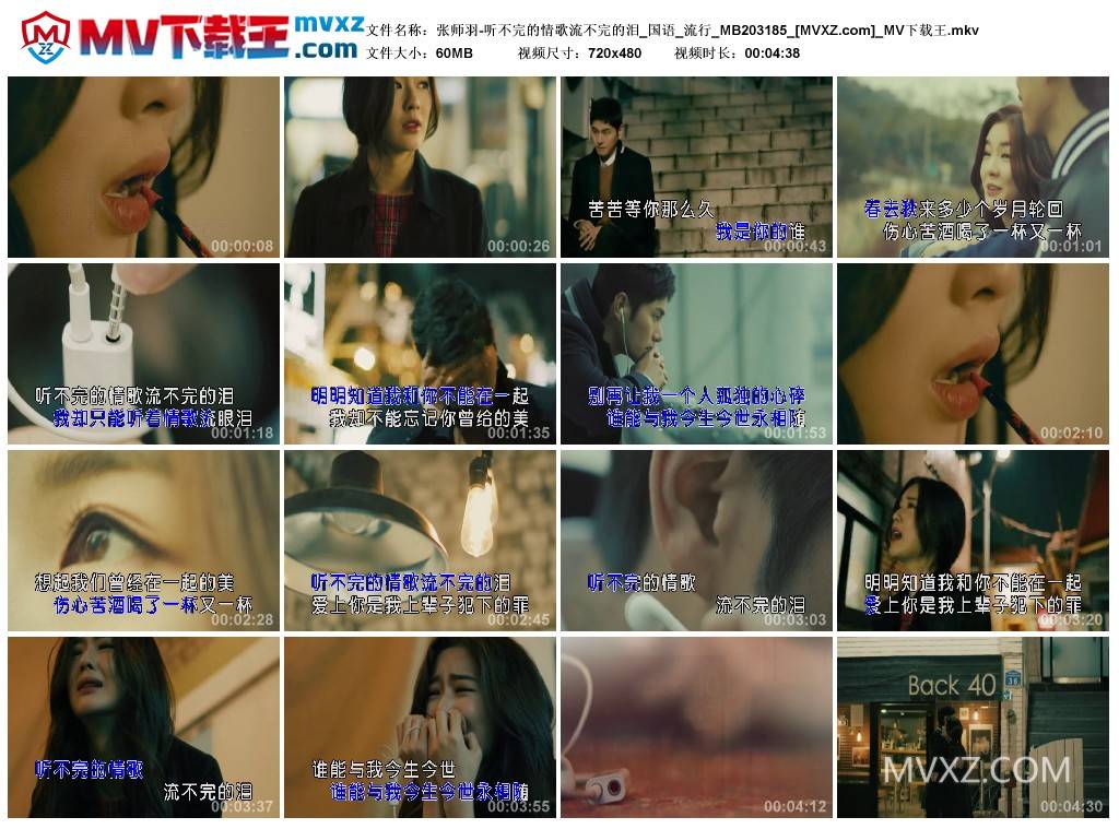 张师羽-听不完的情歌流不完的泪_国语_流行_MB203185